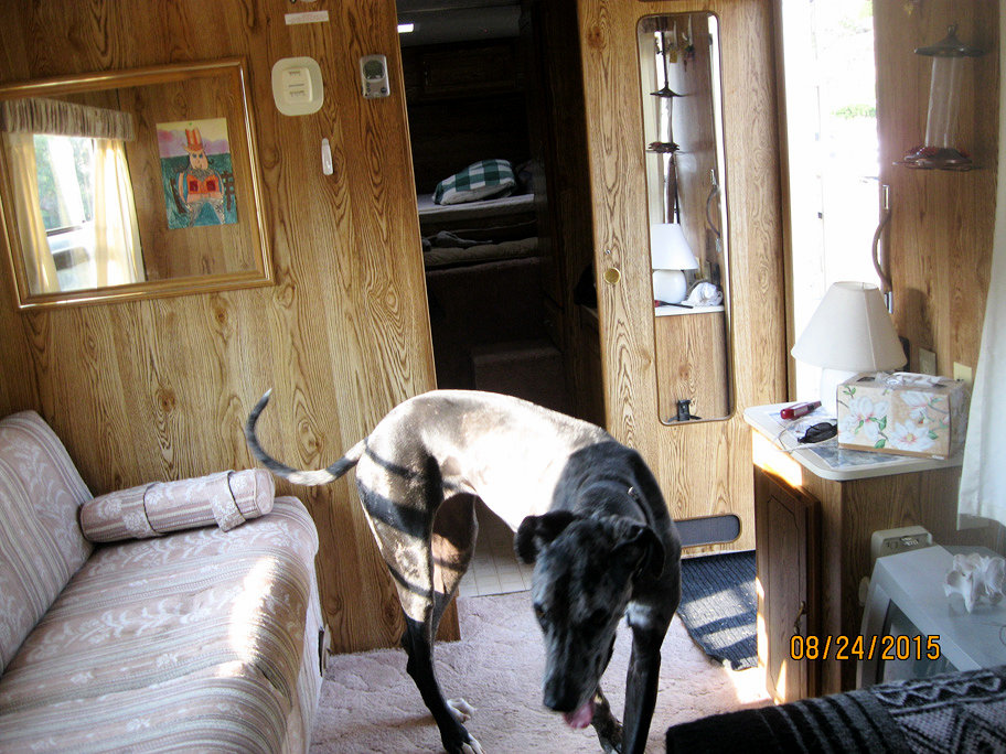 FXR Partner for OBO Partnerships.